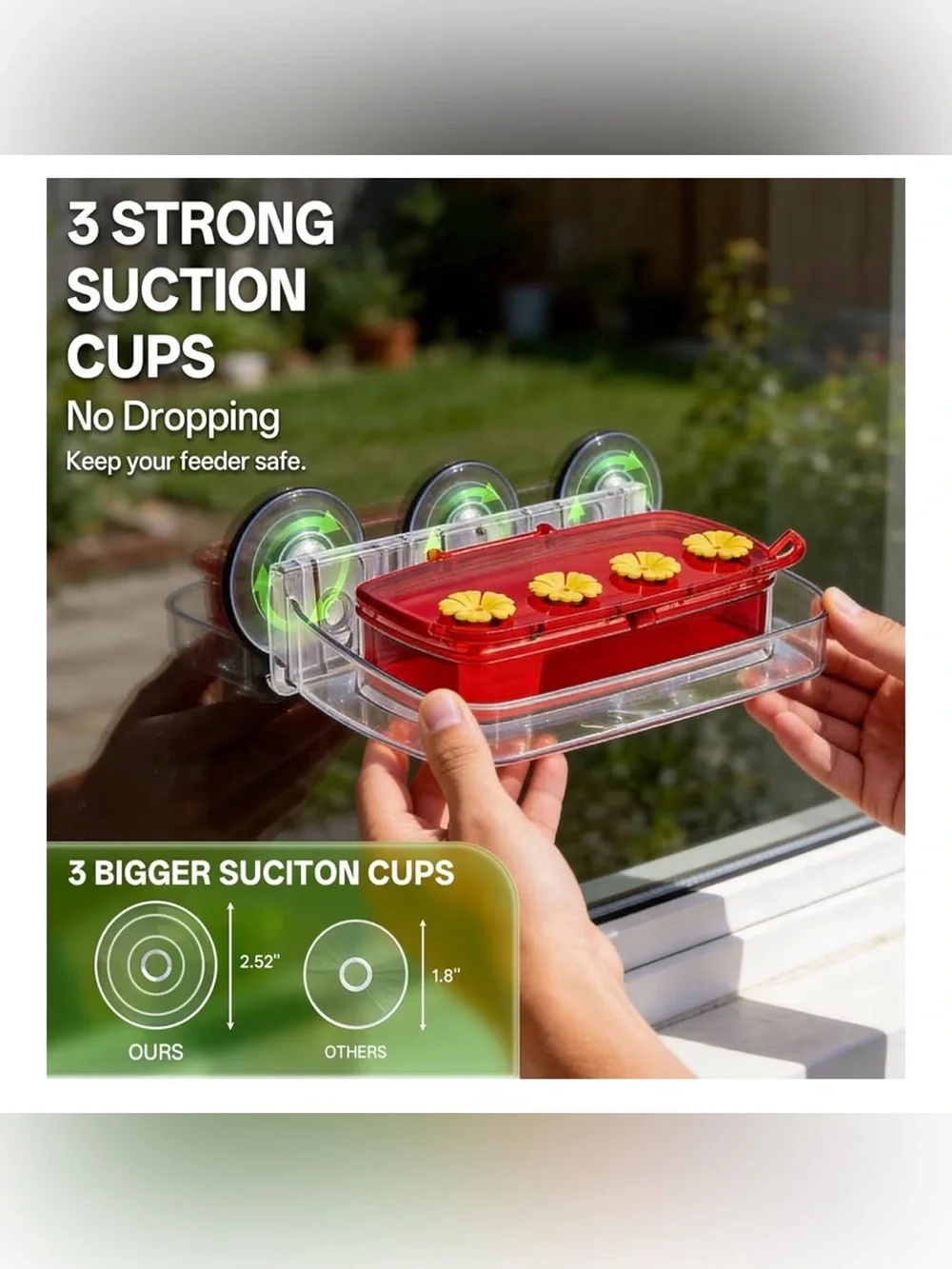 Window Hummingbird Feeder with Strong Suction Cups